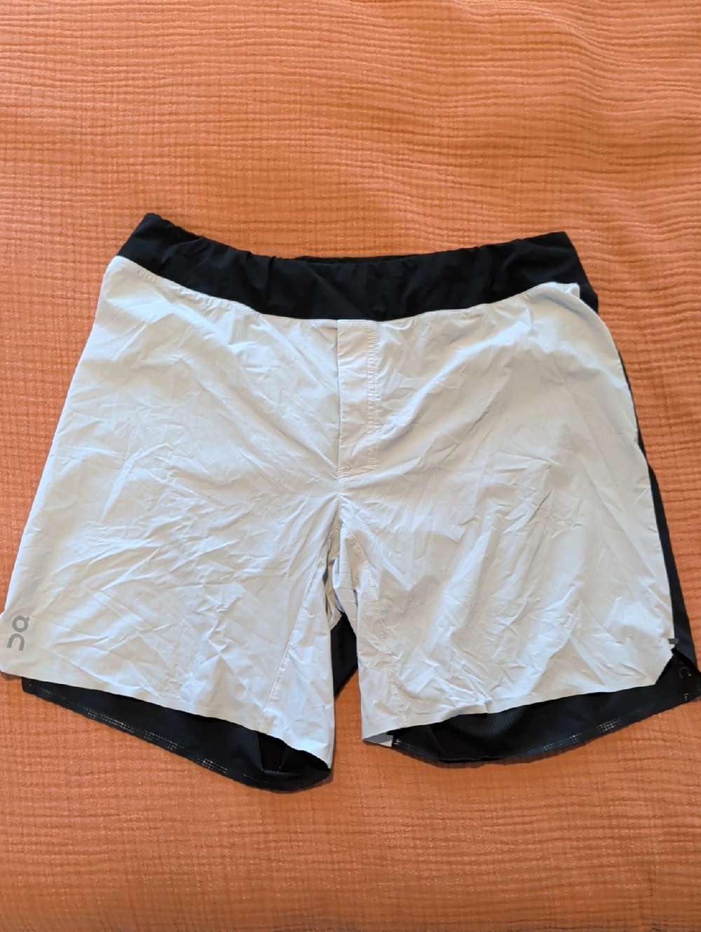 Light Gray On Cloud Athletic Shorts